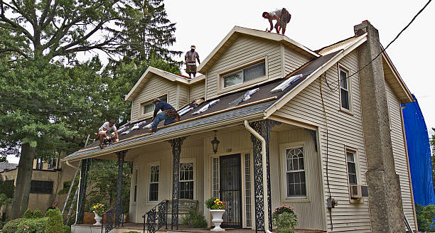 Best Flat Roof Repair Services  in Juno Ridge, FL